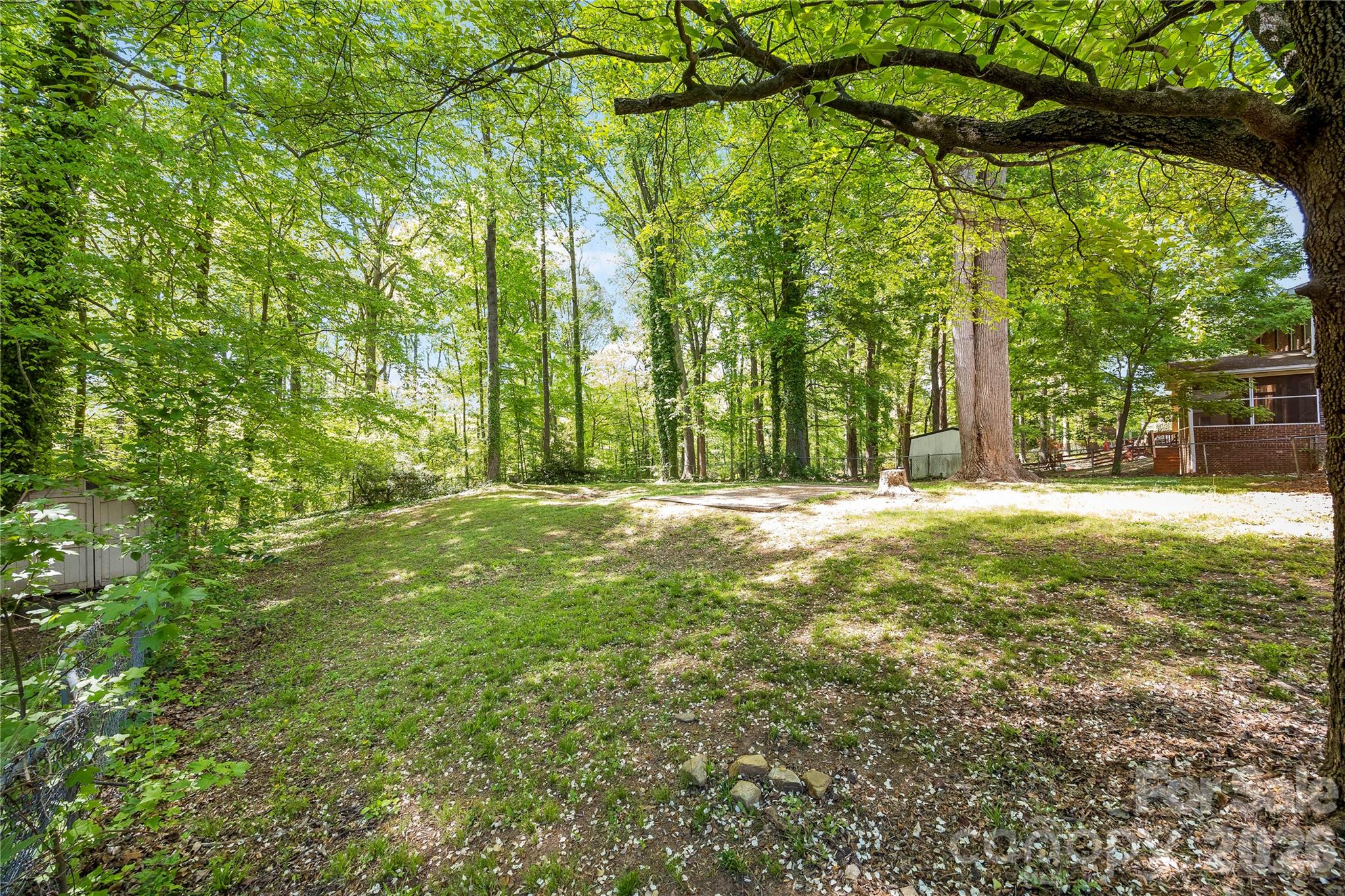 7001 Crossridge Road Charlotte, NC 28214 - Photo 16 of 30 a view of swimming pool with a trees