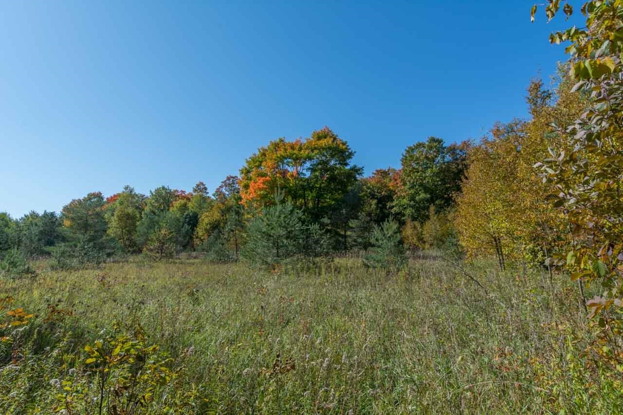 0 South Fritz Road, Unit LOT: B Maple City, MI 49664 - Photo 2 of 17 Gallery Image 2