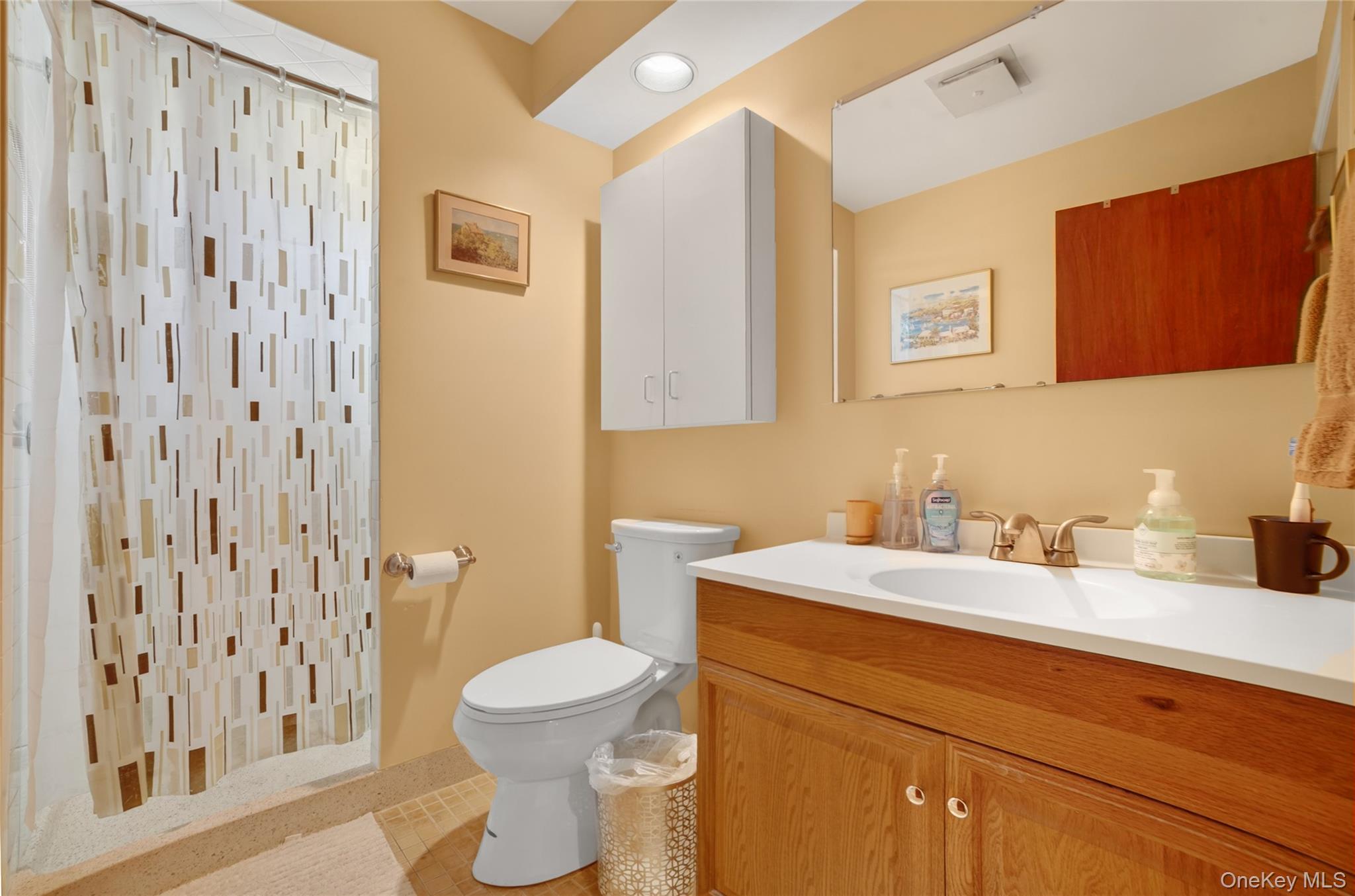276 5th Avenue New Rochelle, NY 10801 - Photo 18 of 40 a bathroom with a toilet sink and mirror