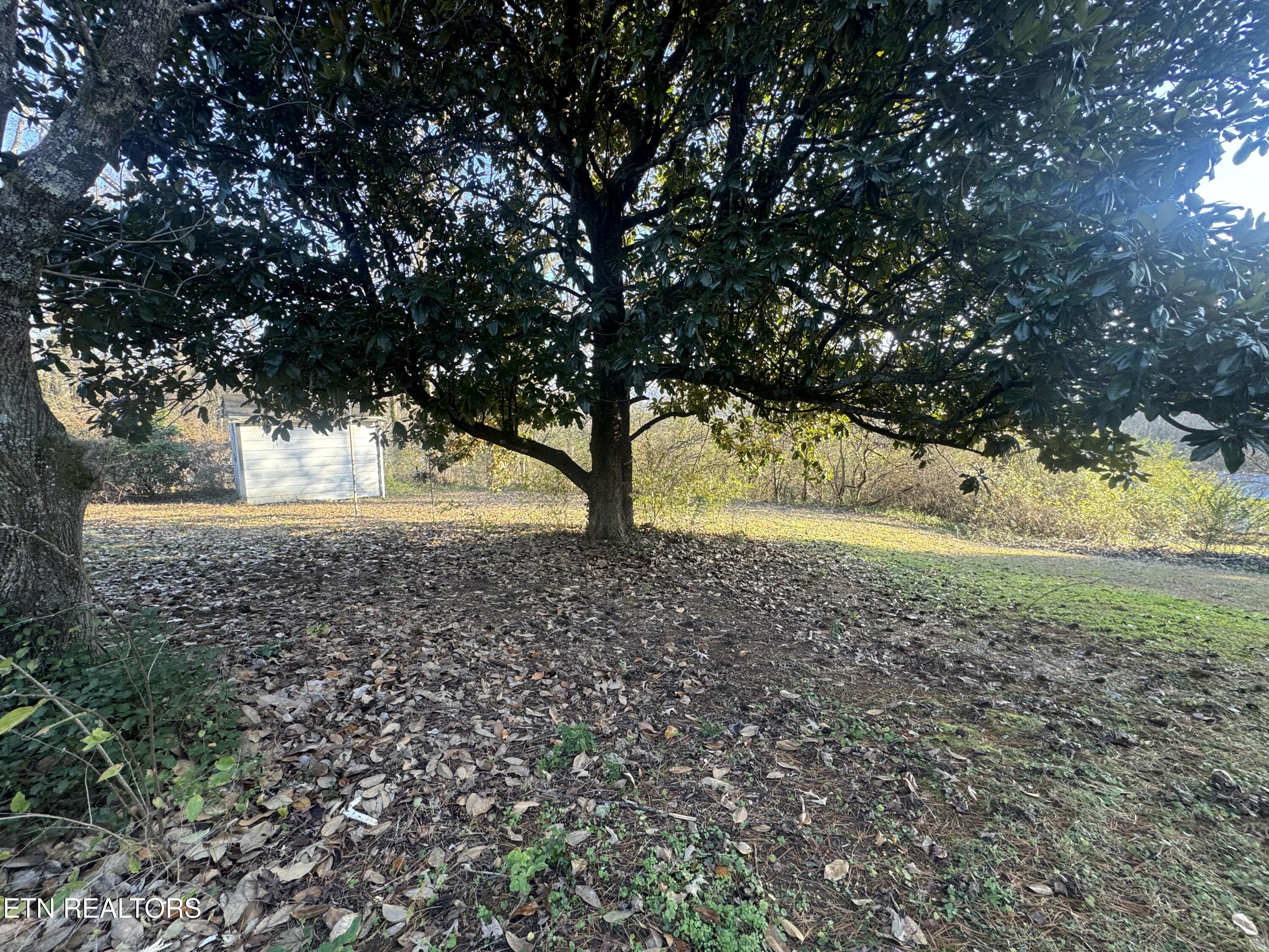 508 Scenic Drive Clinton, TN 37716 - Photo 7 of 33 IMG_3334