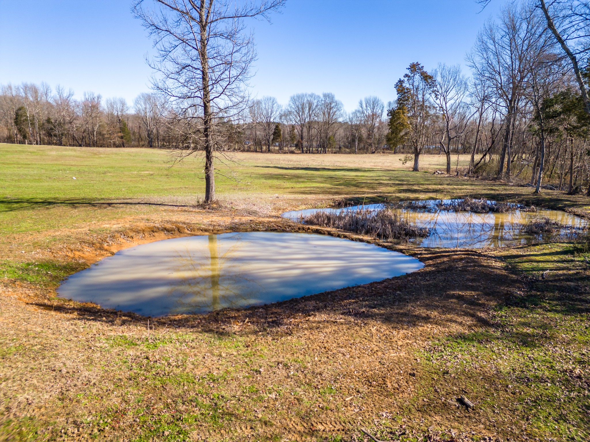 84 Atchison Road Springville, TN 38256 - Photo 61 of 84