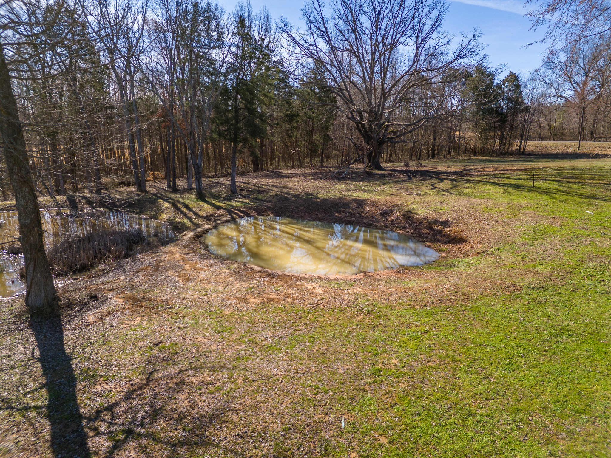 84 Atchison Road Springville, TN 38256 - Photo 62 of 84