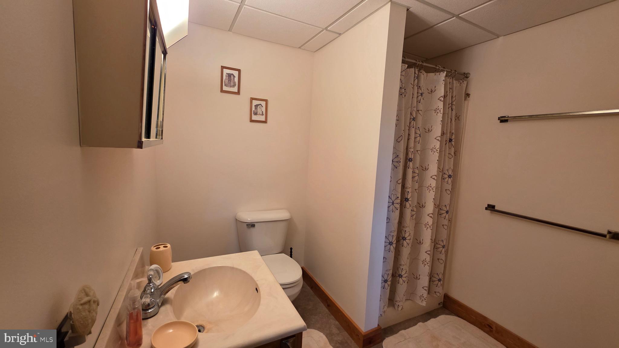 3027 Whitesel Road James Creek, PA 16657 - Photo 18 of 51 a bathroom with a sink and a mirror