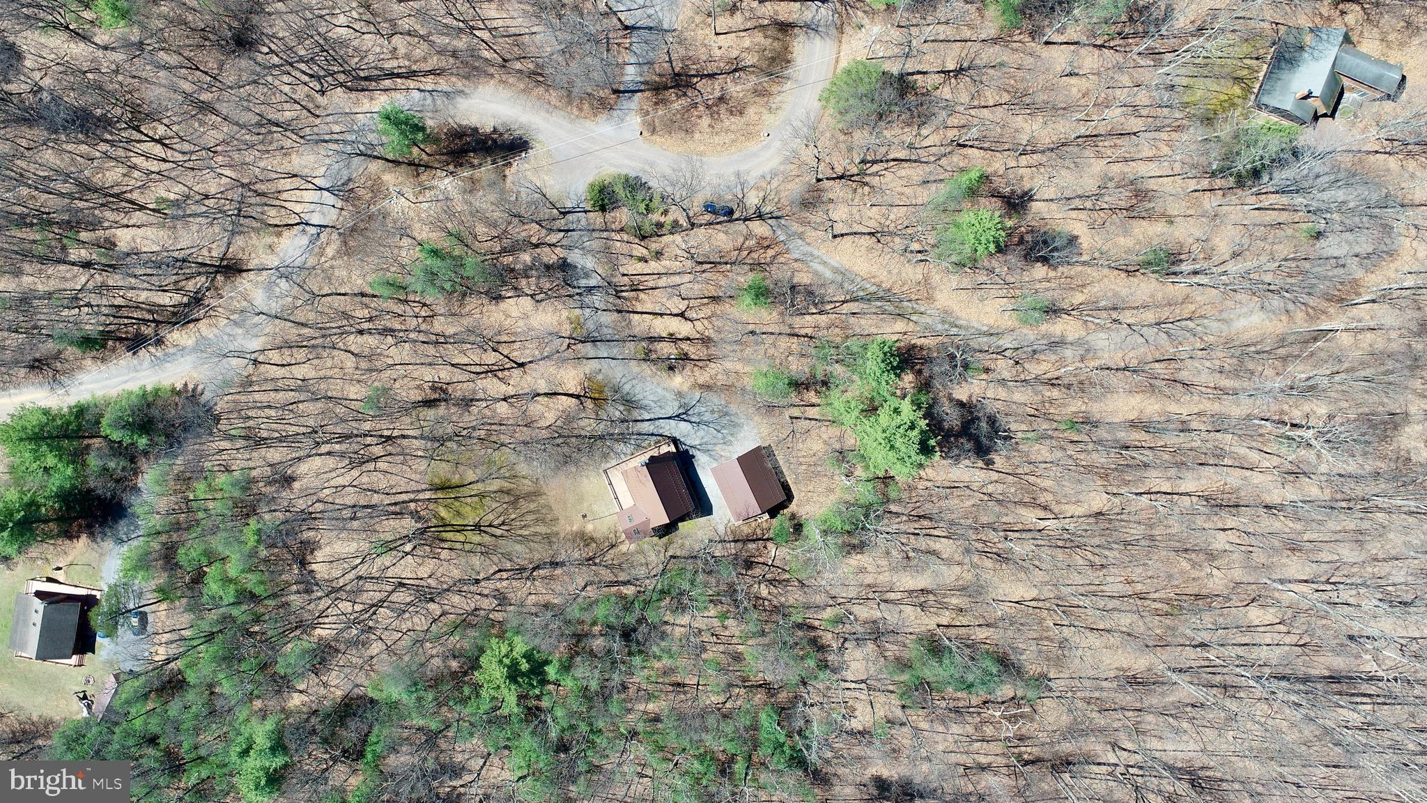3027 Whitesel Road James Creek, PA 16657 - Photo 30 of 51 a view of a dry yard with green space