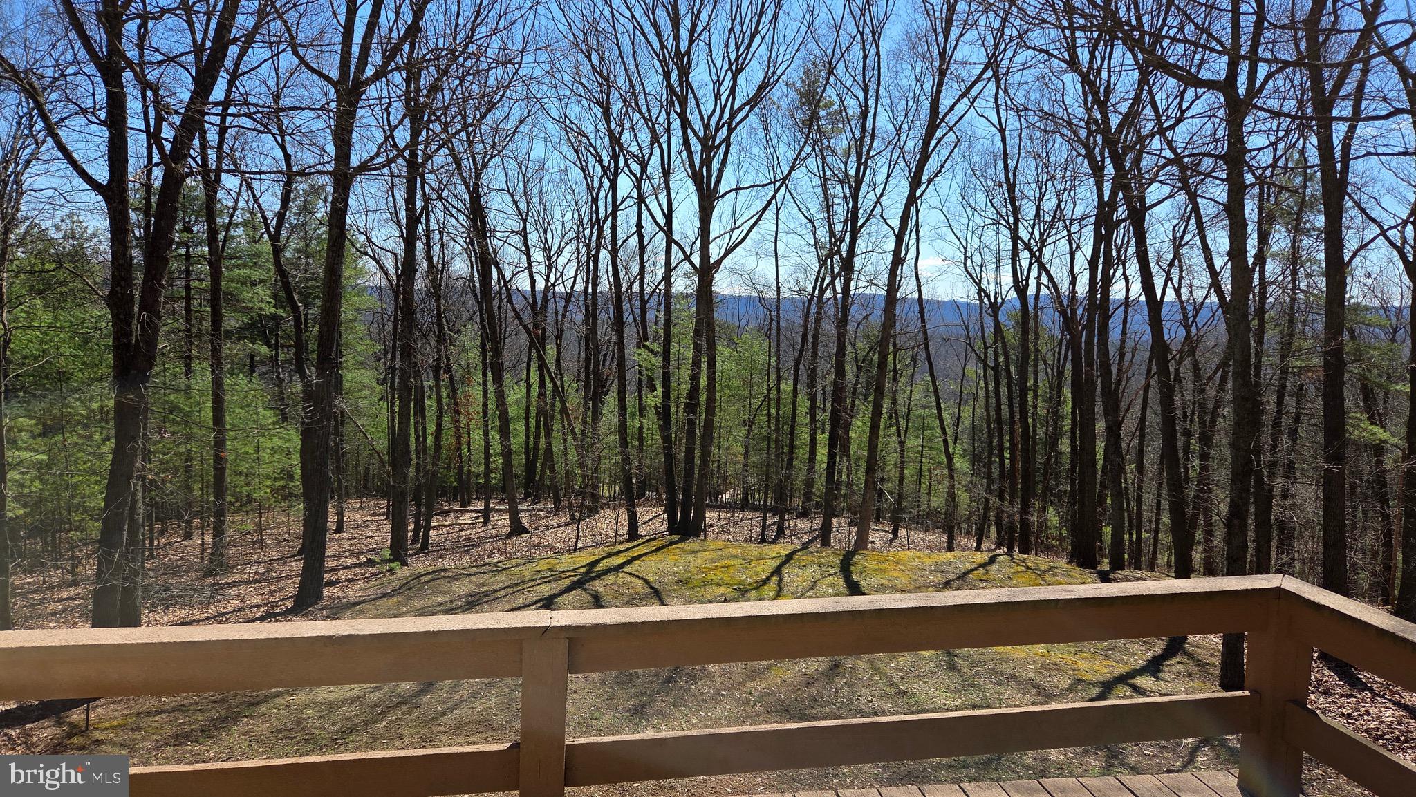 3027 Whitesel Road James Creek, PA 16657 - Photo 42 of 51 a view of a swimming pool with a patio