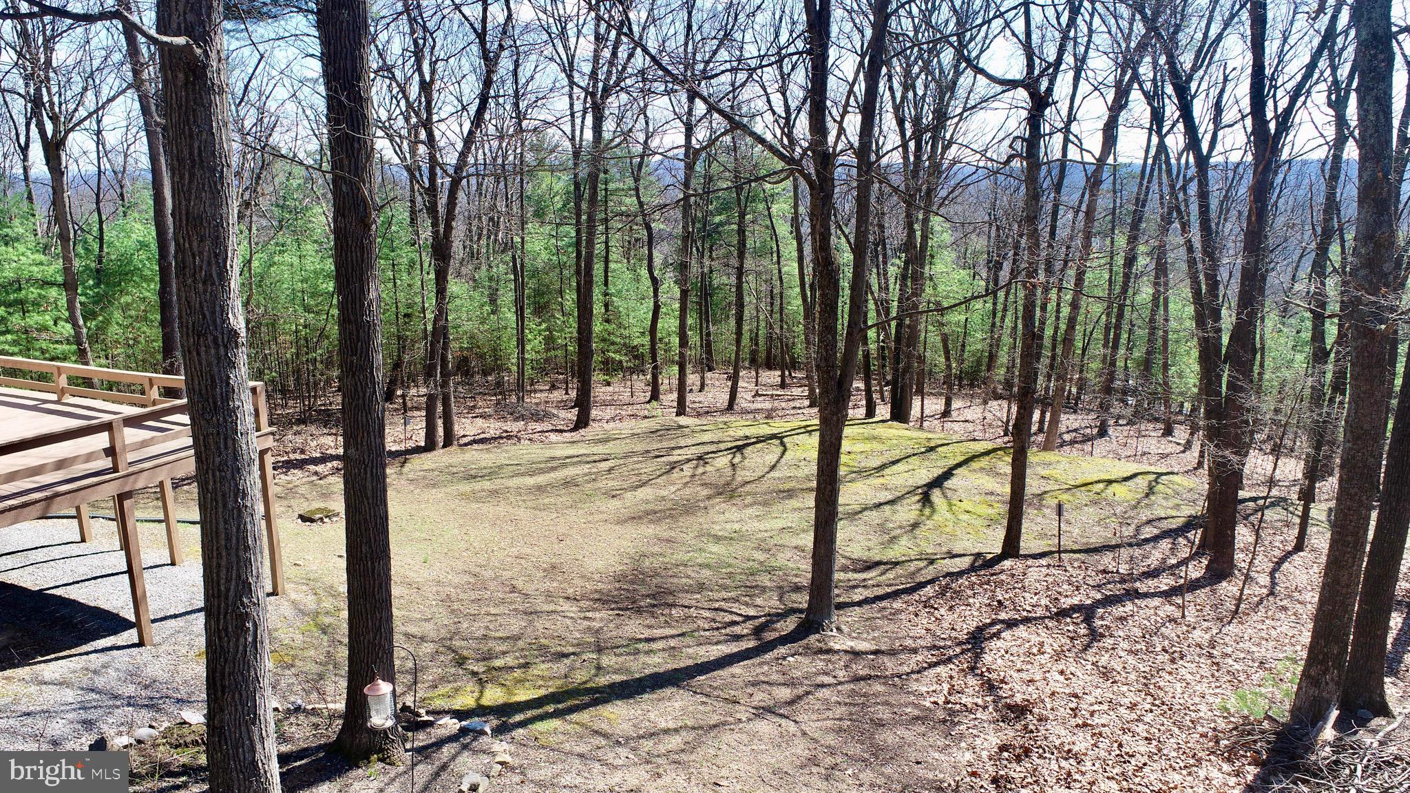 3027 Whitesel Road James Creek, PA 16657 - Photo 49 of 51 a view of outdoor space with deck area and trees around