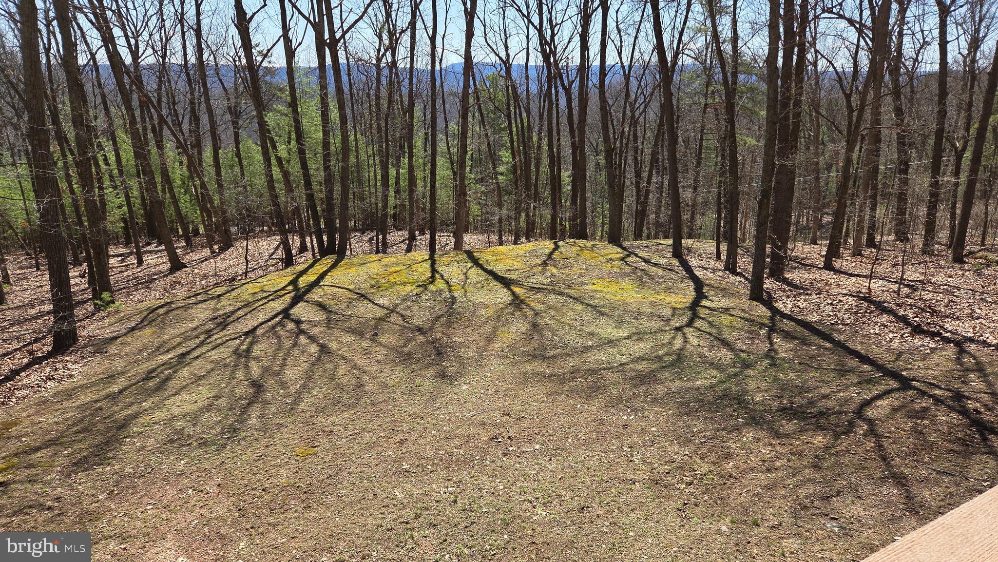 3027 Whitesel Road James Creek, PA 16657 - Photo 50 of 51 a view of under construction area