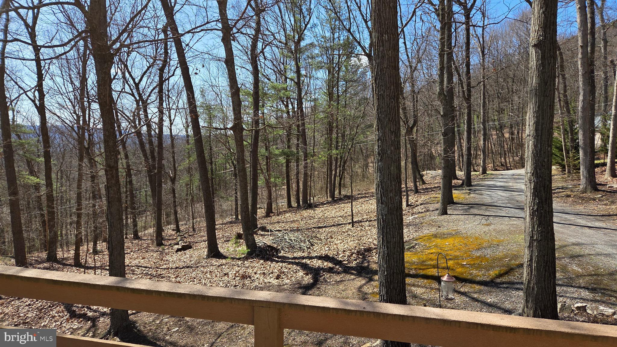 3027 Whitesel Road James Creek, PA 16657 - Photo 51 of 51 a view of a backyard of the house