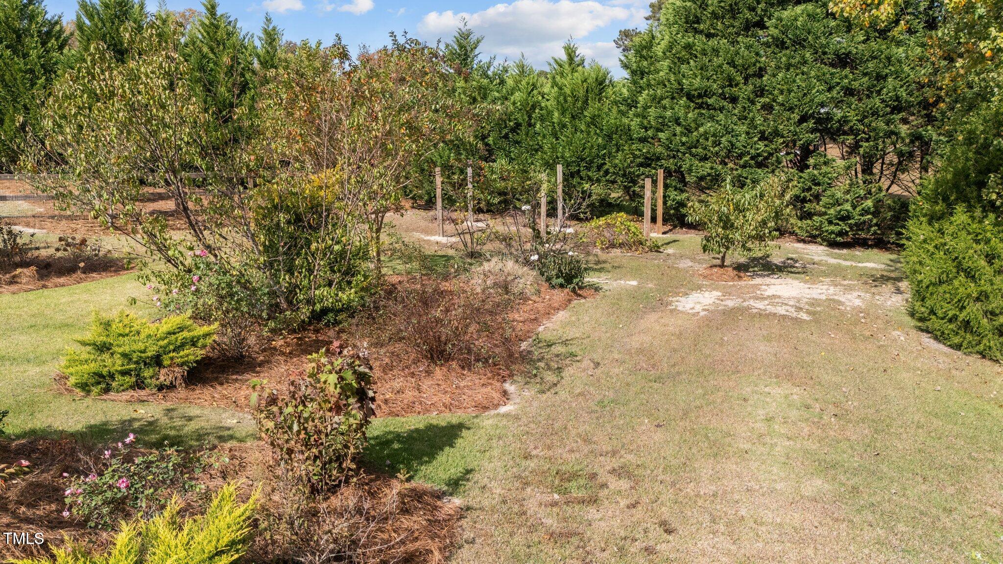 3820 Benson Hardee Road Benson, NC 27504 - Photo 41 of 55 a view of a yard with plants and trees