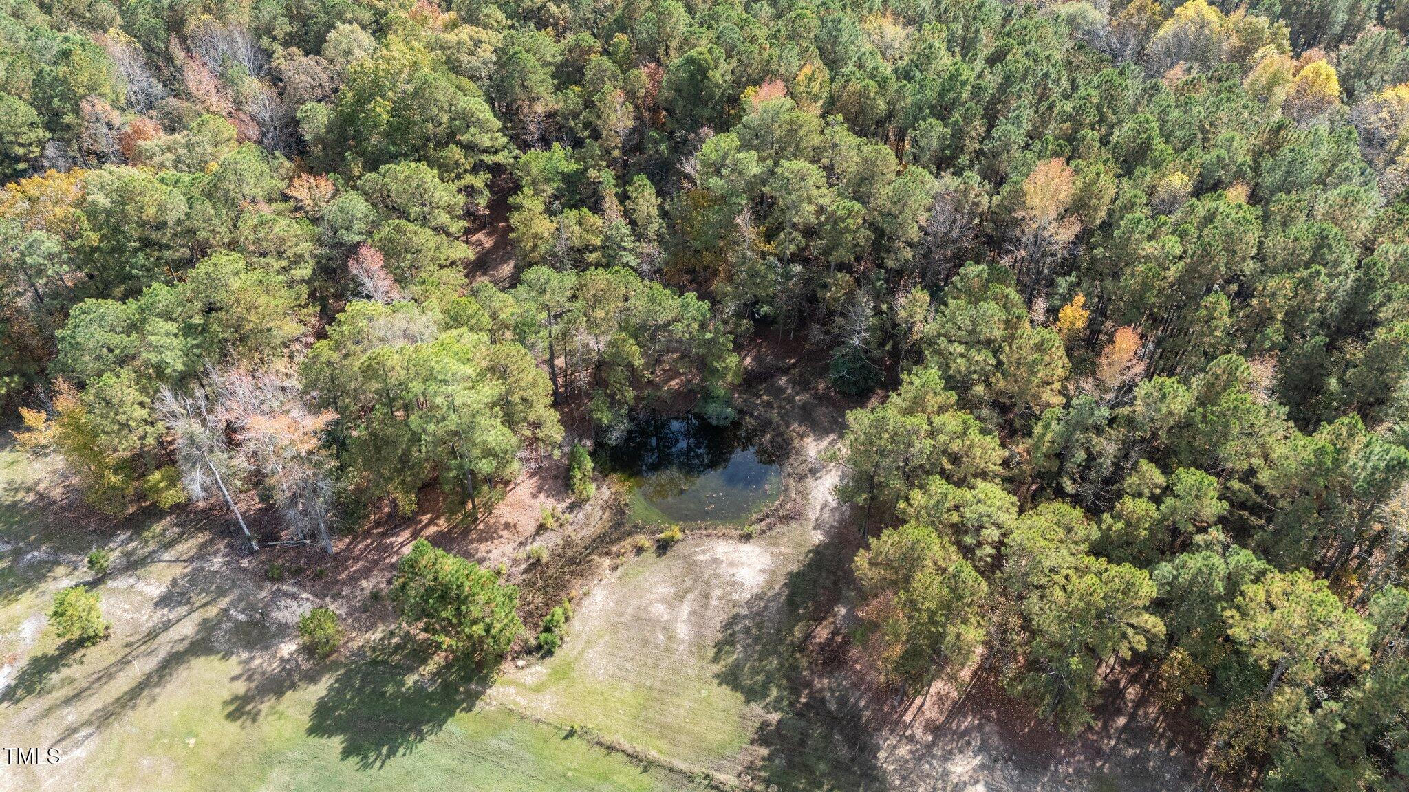 3820 Benson Hardee Road Benson, NC 27504 - Photo 52 of 55 10-web-or-mls-DJI_20241106114818_0762_D