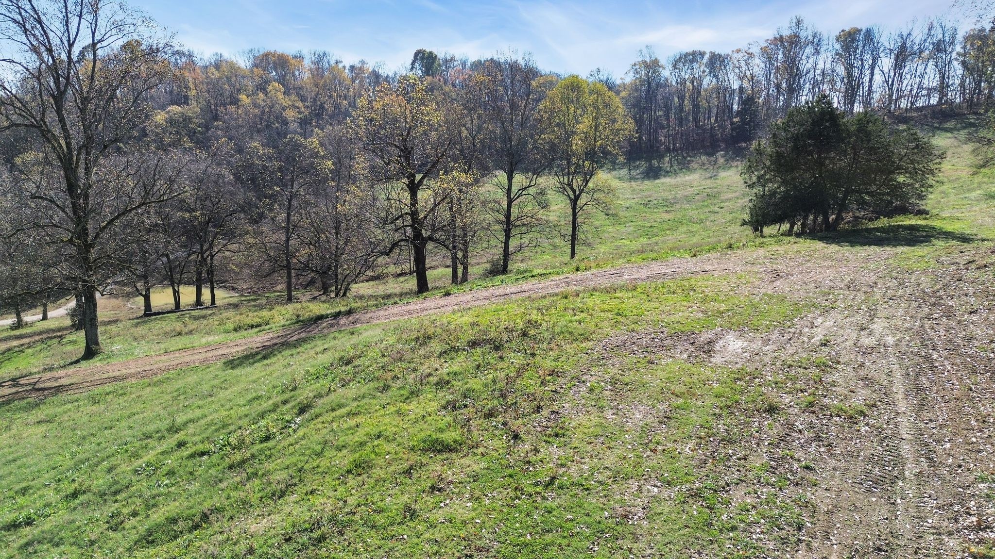 2365 Beech Hill Road Pulaski, TN 38478 - Photo 11 of 21