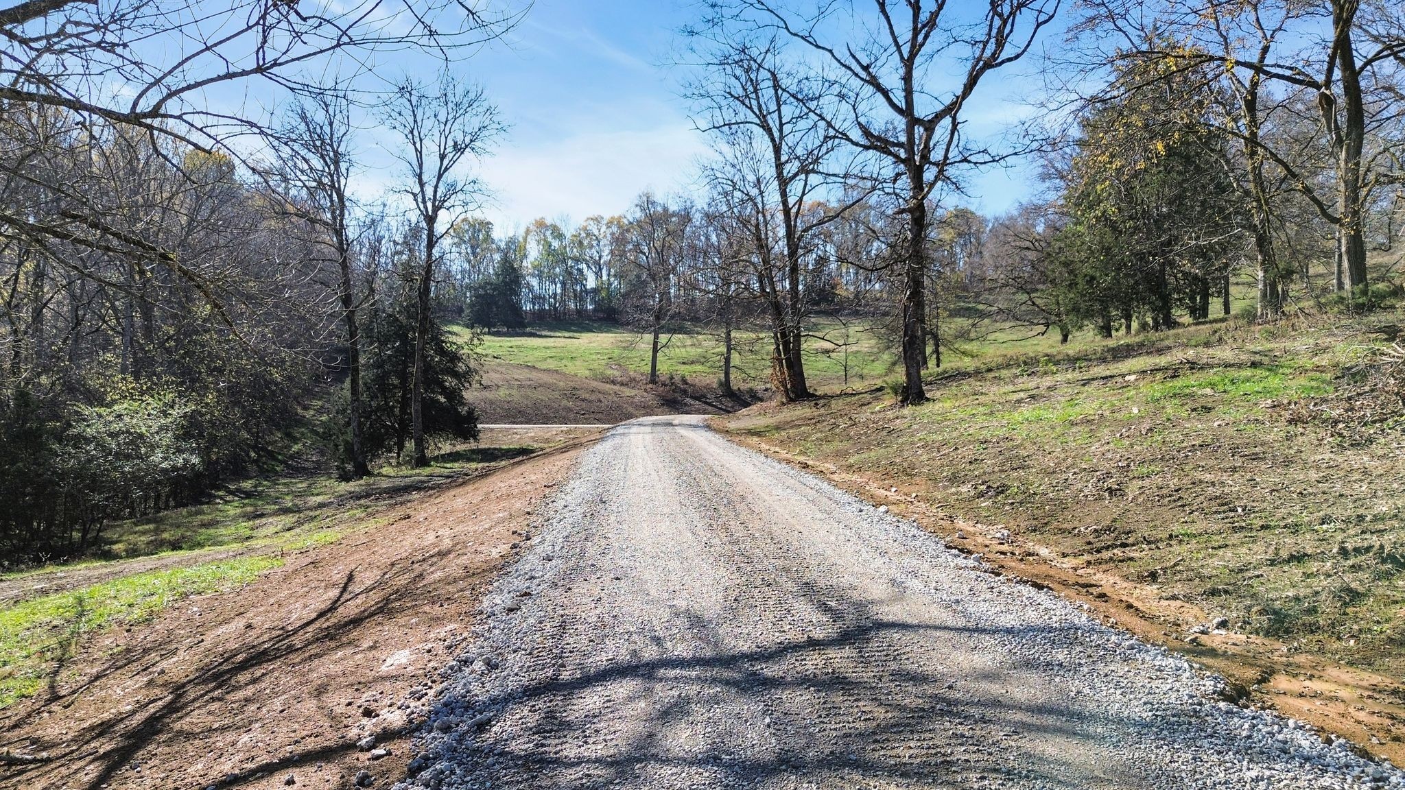 2365 Beech Hill Road Pulaski, TN 38478 - Photo 5 of 21