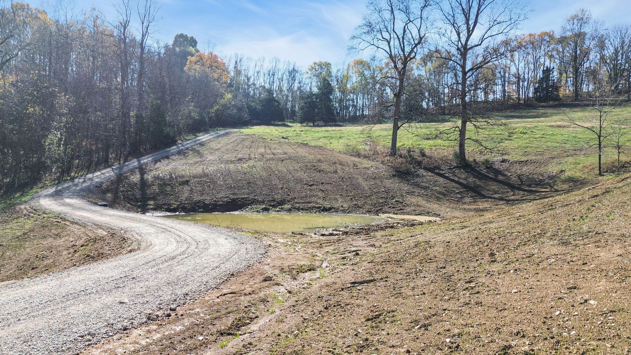 2365 Beech Hill Road Pulaski, TN 38478 - Photo 6 of 21