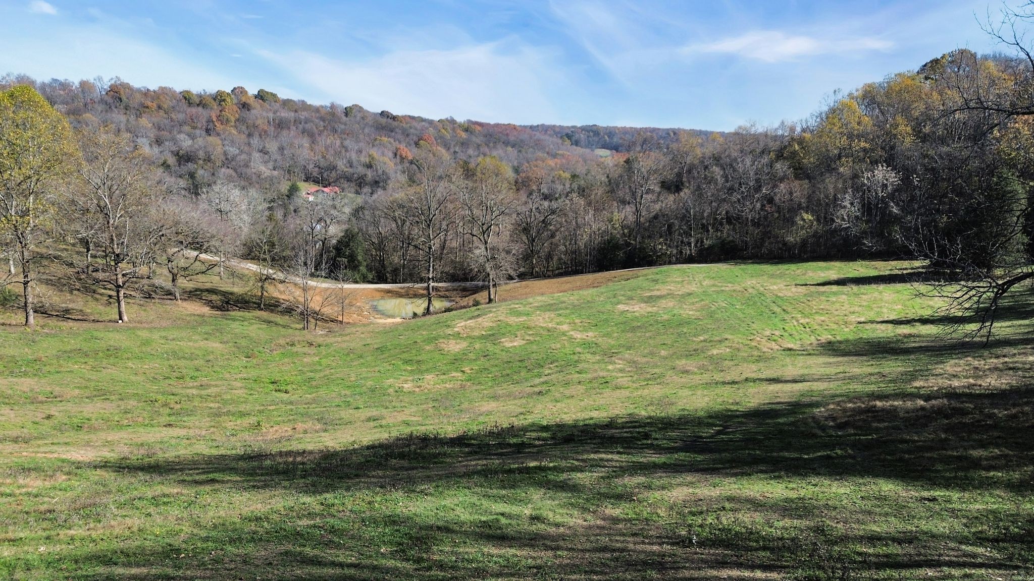 2365 Beech Hill Road Pulaski, TN 38478 - Photo 9 of 21