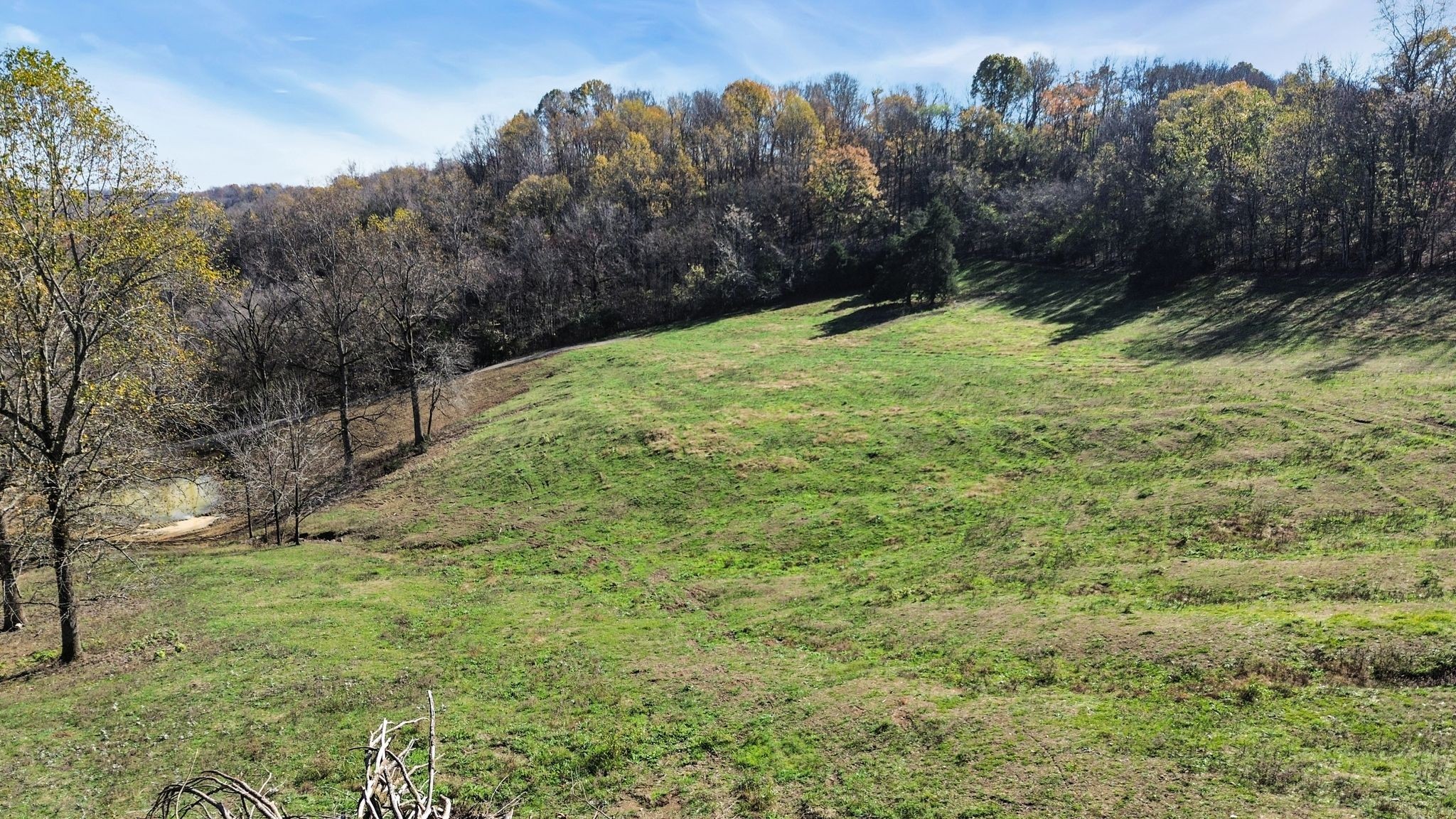 2365 Beech Hill Road Pulaski, TN 38478 - Photo 10 of 21