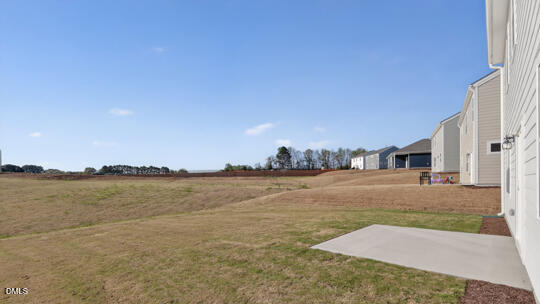 824 Comice Pear Way Willow Spring, NC 27592 - Photo 39 of 43 dr-horton-lot-53-824-comice-pear-way-bex