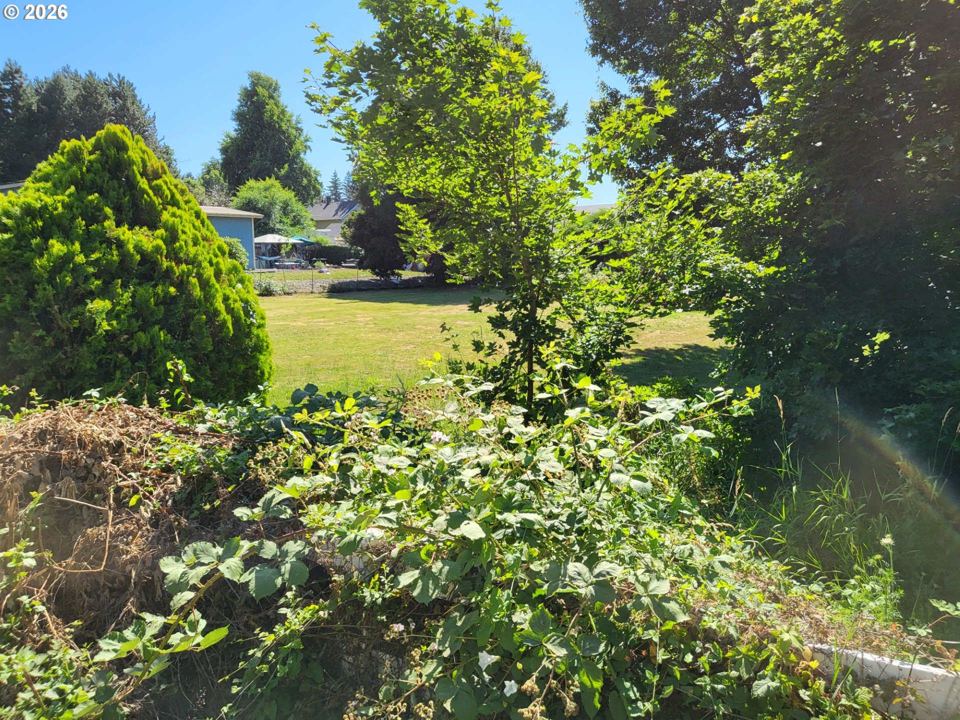 7137 Southeast 322 Avenue Gresham, OR 97080 - Photo 5 of 5 a view of a lake with a tree
