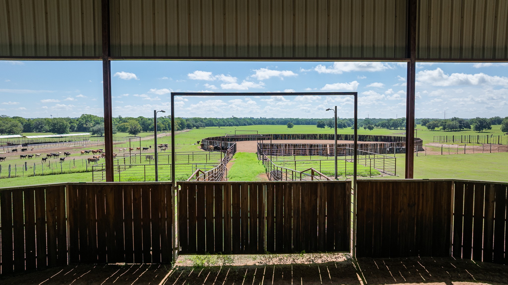 1119 Wolters Road Schulenburg, TX 78956 - Photo 24 of 50 a view of outdoor space with swimming pool