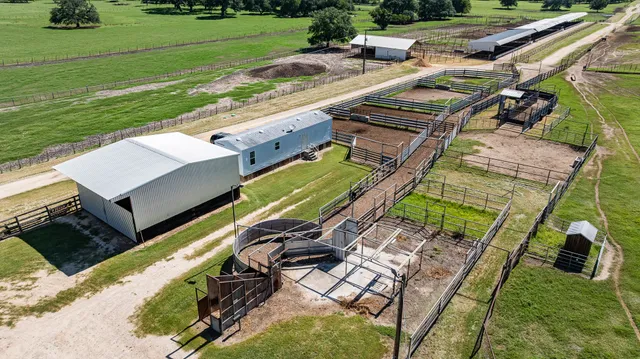 a view of a park with large trees and a wooden fence