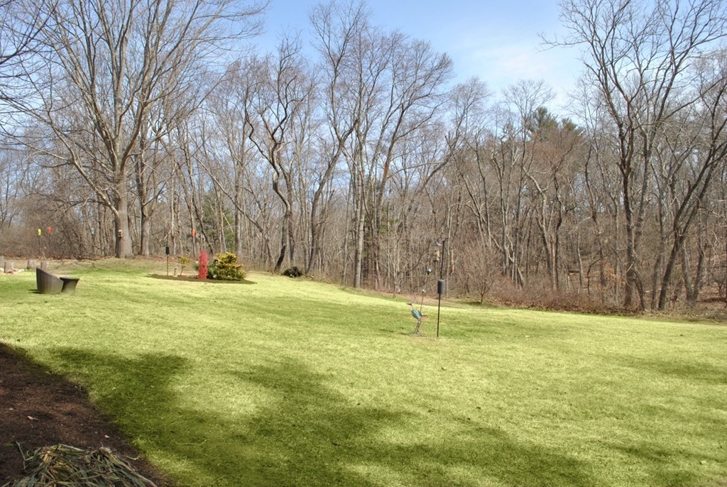 17 Giles Road Lincoln, MA 01773 - Photo 17 of 18 a view of outdoor space with trees all around