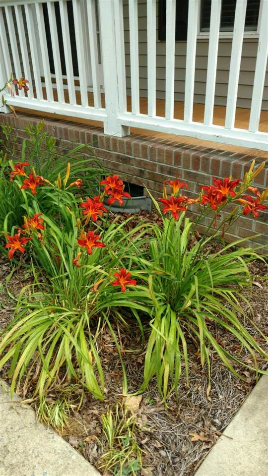 258 Ridge Drive Garner, NC 27529 - Photo 25 of 25 Photo 25