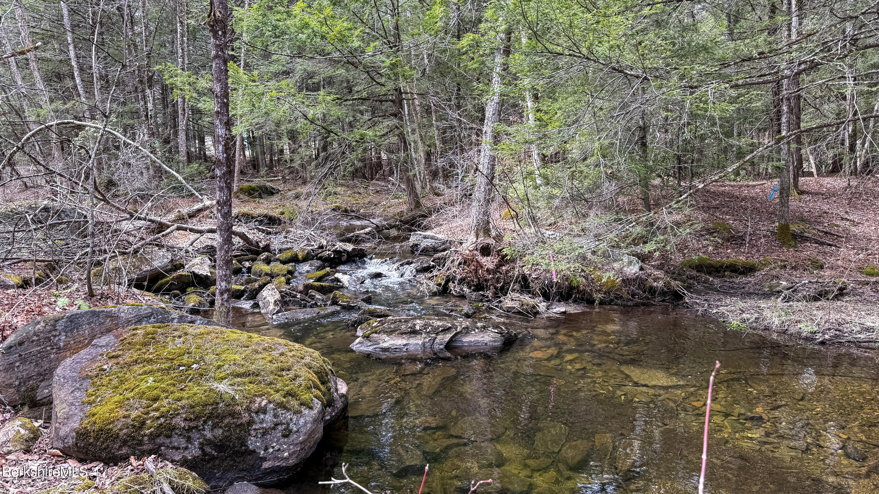283 Benton Hill Road Becket, MA 01223 - Photo 27 of 55 a view of a plants and large trees