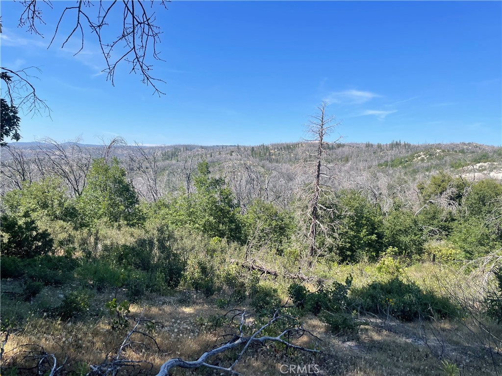 363 Raccoon Road Berry Creek, CA 95916 - Photo 25 of 27 a view of a backyard