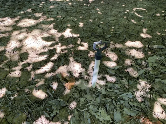 a view of a tree in a tree