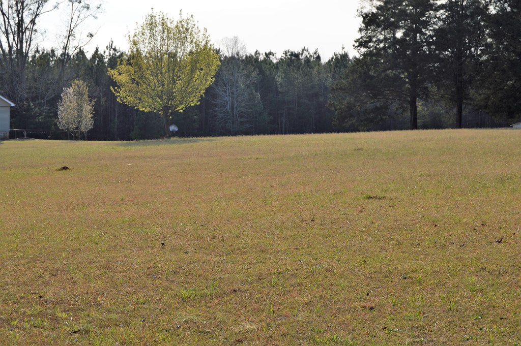 112 Crooked Road Greenwood, SC 29646 - Photo 34 of 35 Gallery Image 34