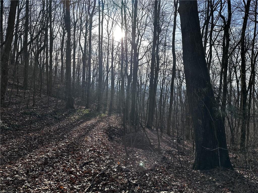 32 Andes Ridge Jasper, GA 30143 - Photo 11 of 24 a view of backyard with green space