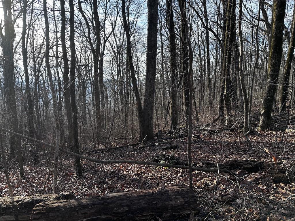 32 Andes Ridge Jasper, GA 30143 - Photo 12 of 24 a view of a backyard