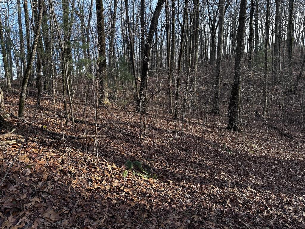 32 Andes Ridge Jasper, GA 30143 - Photo 15 of 24 a view of a yard with lots of bushes