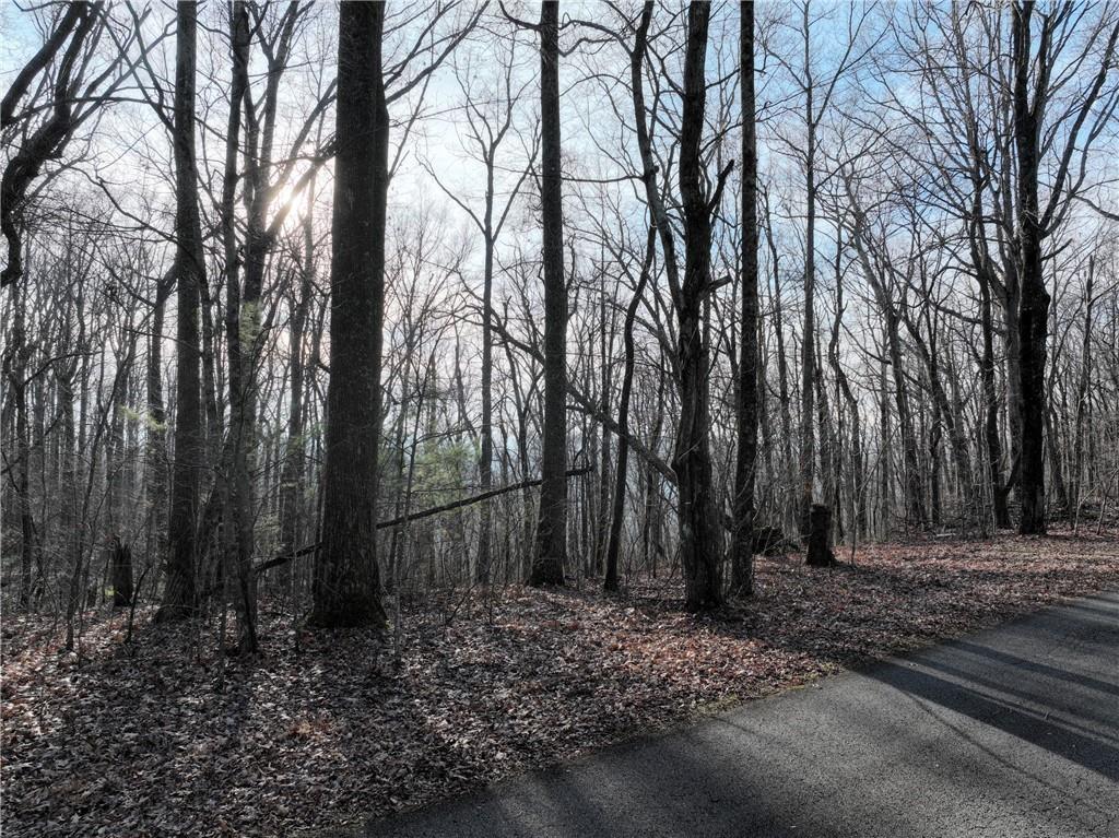 32 Andes Ridge Jasper, GA 30143 - Photo 19 of 24 a view of a backyard with large trees
