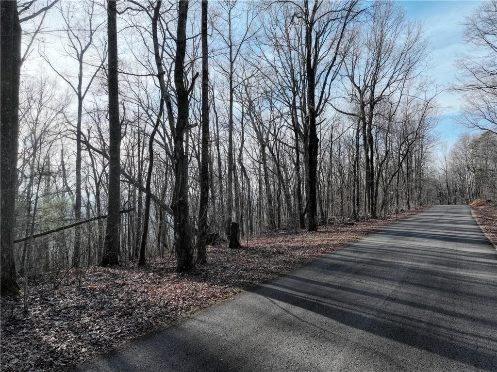 32 Andes Ridge Jasper, GA 30143 - Photo 20 of 24 a backyard of a house with lots of green space