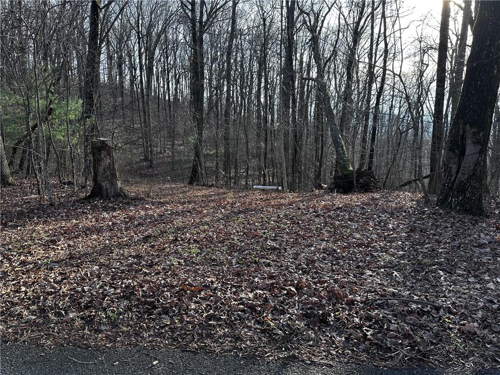 32 Andes Ridge Jasper, GA 30143 - Photo 2 of 24