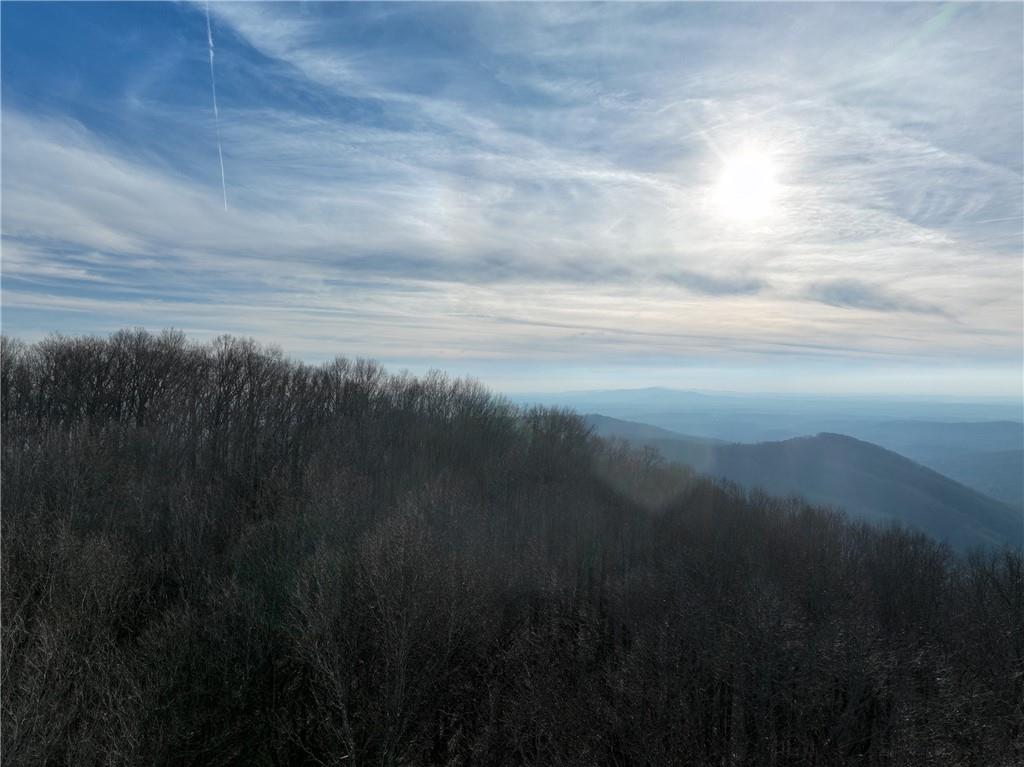 32 Andes Ridge Jasper, GA 30143 - Photo 5 of 24 a view of lake with green space