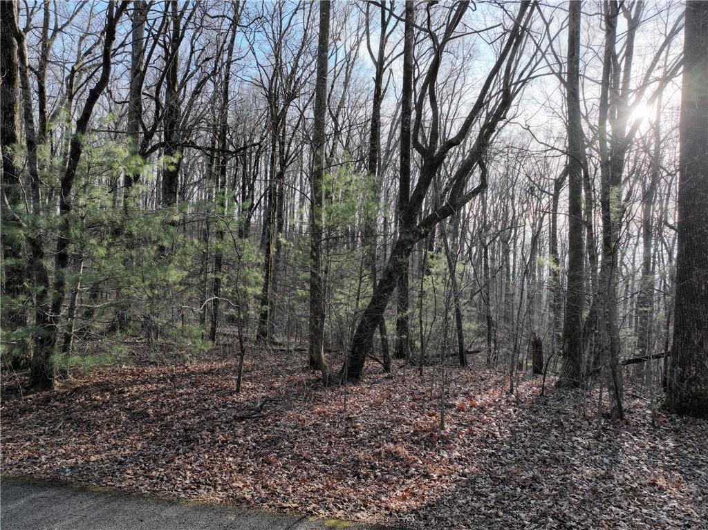 32 Andes Ridge Jasper, GA 30143 - Photo 9 of 24 a view of a forest filled with trees