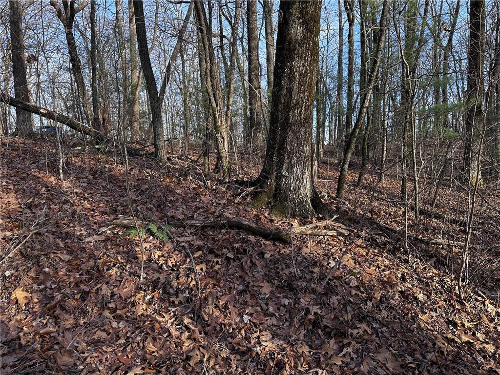 32 Andes Ridge Jasper, GA 30143 - Photo 10 of 24 a view of a forest with trees