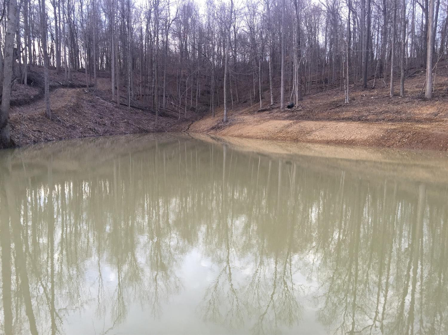 1 Scrubgrass Road Danville, KY 40422 - Photo 10 of 11 Photo 10