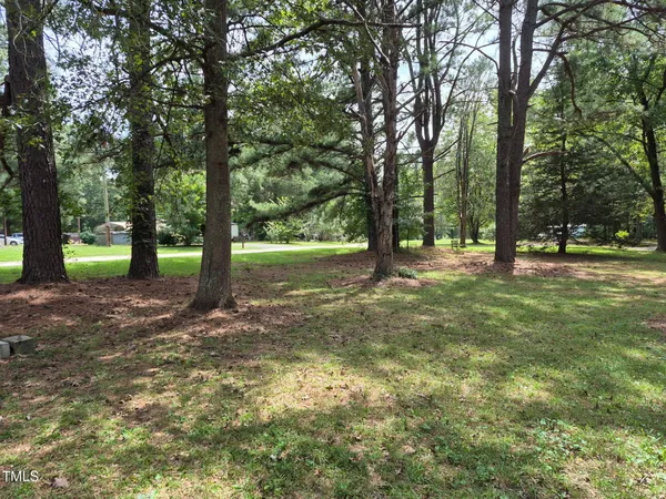 a view of a yard with plants and large trees