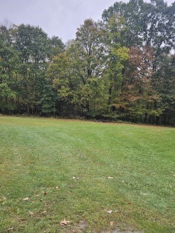 937 Engel Run Road Lucinda, PA 16235 - Photo 11 of 13 Gallery Image 11