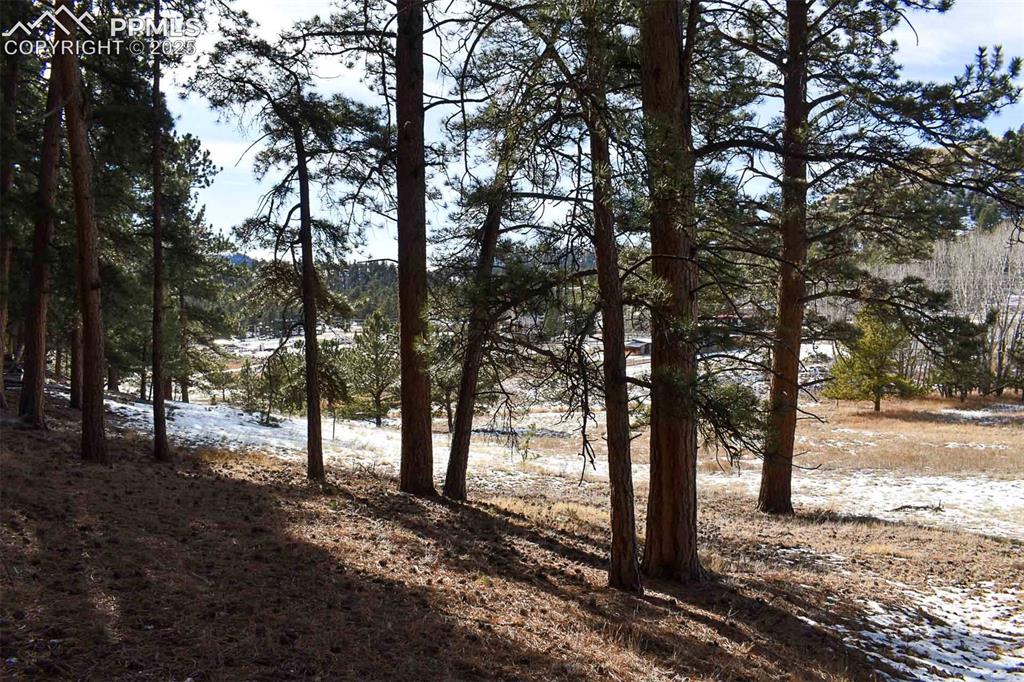 6th Street Guffey, CO 80820 - Photo 13 of 28