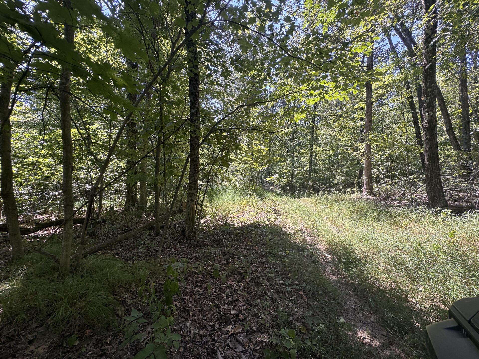 973 Golf Course Road Waverly, OH 45690 - Photo 53 of 67 CT-54