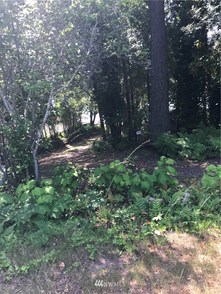290 East Eckert Road Grapeview, WA 98546 - Photo 10 of 17 Gallery Image 10