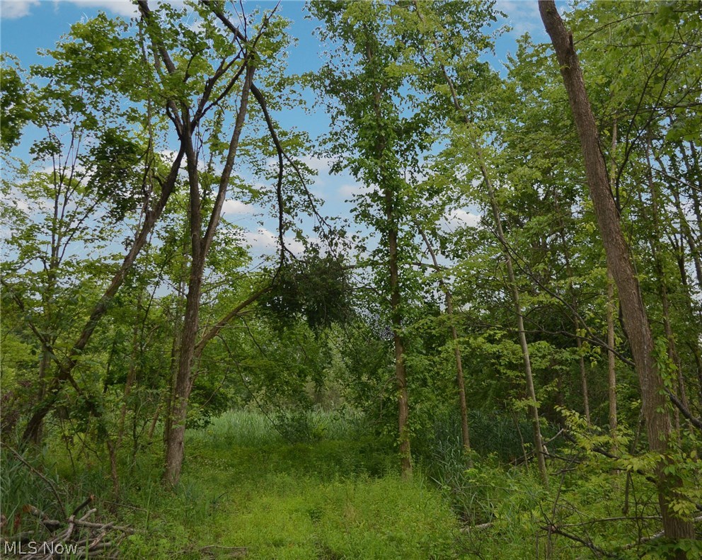 2 Downs Road Northwest Warren, OH 44481 - Photo 4 of 5