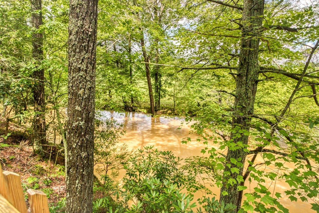 1143.5 Price Ridge Road, Unit 10 Bland, VA 24315 - Photo 64 of 69 Gallery Image 64