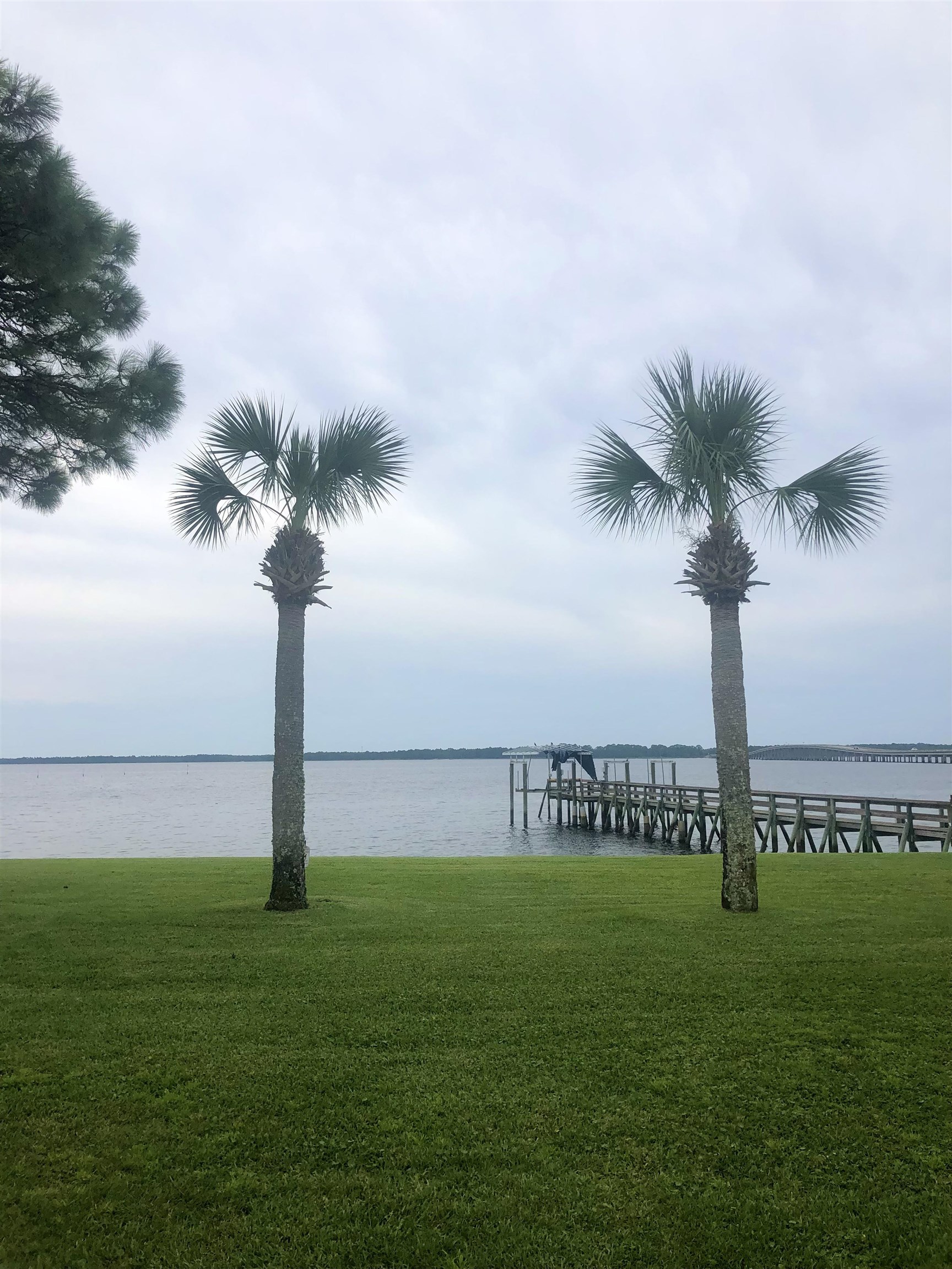 11 Mashes Sands Road, Unit A1 Panacea, FL 32346 - Photo 38 of 38 Gallery Image 38