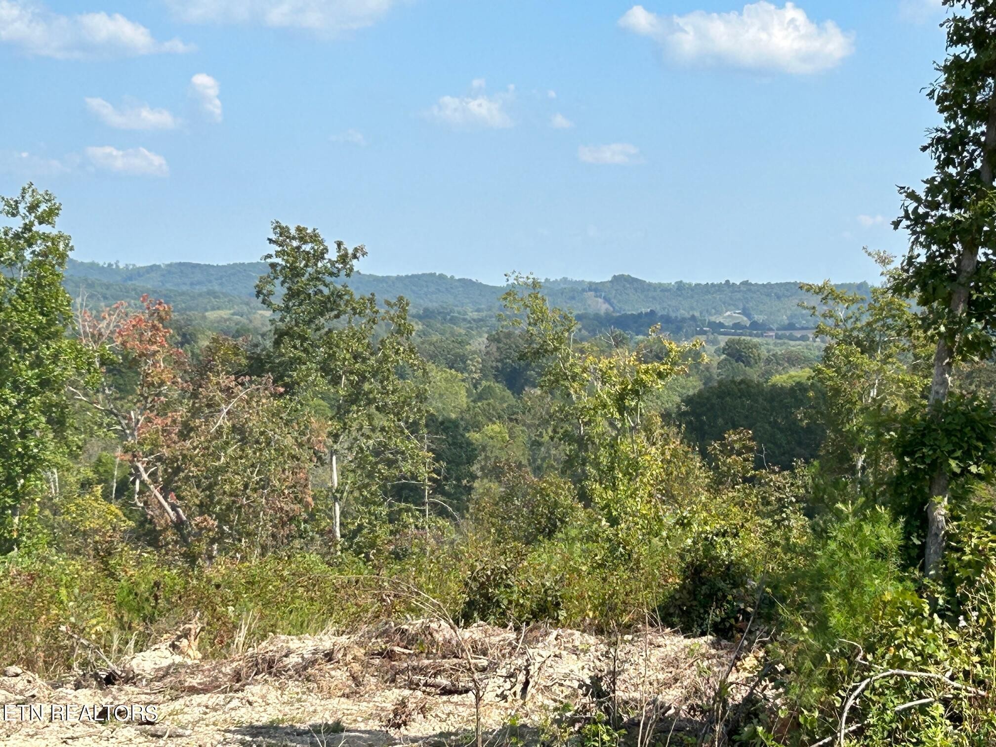 8 Euchee Road Ten Mile, TN 37880 - Photo 14 of 31 Gallery Image 14