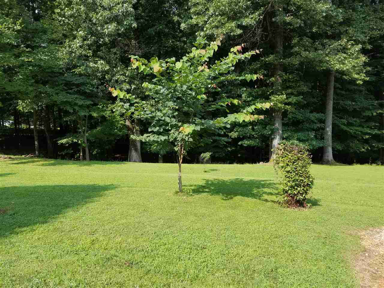 9463 North Buskirk Road Gosport, IN 47433 - Photo 3 of 12 Gallery Image 3