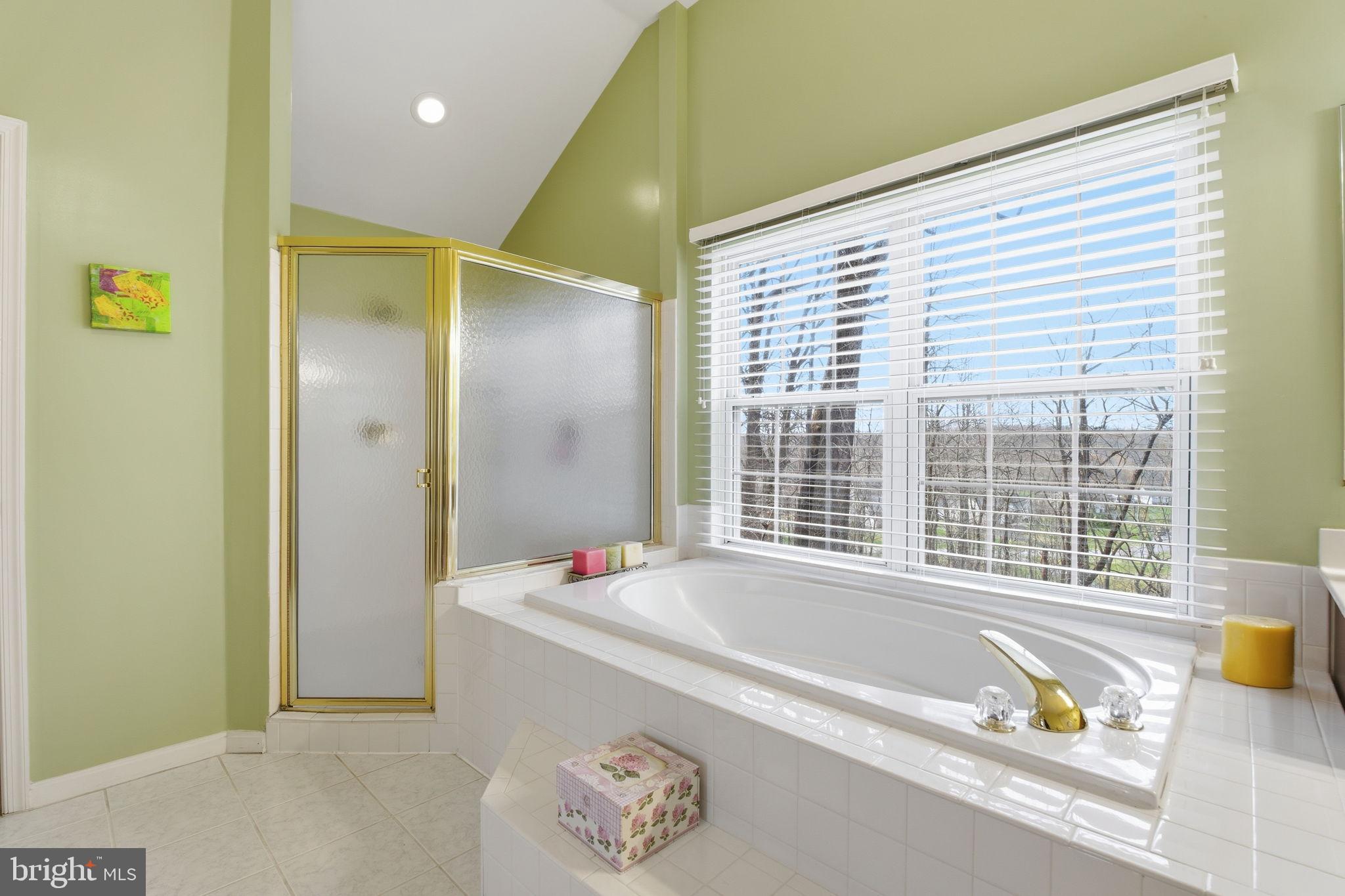 5534 Nutwell Sudley Road Deale, MD 20751 - Photo 36 of 58 Serene bathroom with natural light and views.